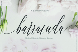 Barracuda Script: The Modern Calligraphy Font for Elegant Designs