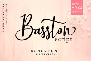 Basston Script: A Designer's Guide to Elegant Typography