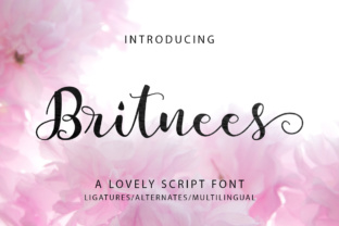 Britnees Script: A Modern Font for Elegant Design