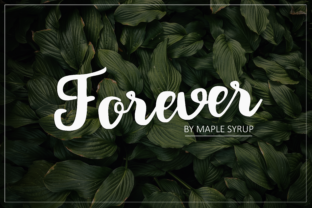 Forever Script: A Typeface Inspired by Love