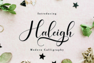 Why Haleigh Script Feels Like a Breath of Fresh Air in Design